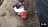 Thumbnail 36