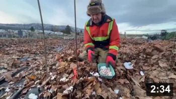 Cheap garlic works! With evidence that cheap Chinese garlic with the roots cut
off, will in fact try to grow!

Includes 2025 update!

Guides
[/the-ferment-farm/posts/categories/guides]
Planting
[/the-ferment-farm/posts/categories/planting]