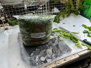 Spinach “Book” for my gut to read in the winter. Food sustainability via
freezing spinach.

Food Processing & Cooking
[/the-ferment-farm/posts/categories/food-processing-and-cooking]
Guides
[/the-ferment-farm/posts/categories/guides]