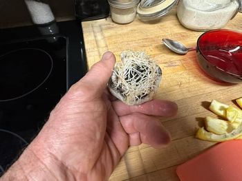 Cheap garlic works! With evidence that cheap Chinese garlic with the roots cut
off, will in fact try to grow!

Includes 2025 update!

Guides
[/the-ferment-farm/posts/categories/guides]
Planting
[/the-ferment-farm/posts/categories/planting]