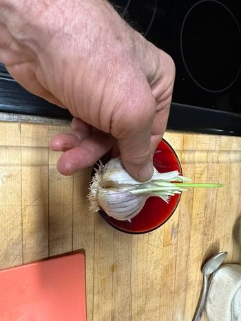 Cheap garlic works! With evidence that cheap Chinese garlic with the roots cut
off, will in fact try to grow!

Includes 2025 update!

Guides
[/the-ferment-farm/posts/categories/guides]
Planting
[/the-ferment-farm/posts/categories/planting]