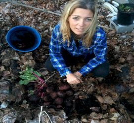 finding last beets