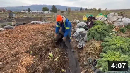 Ferment Farm addition gettn worked…. Sewing the plots together. Deconstructing
the border, inoculating the new plot with life, and second tilling.

Cool Projects
[/the-ferment-farm/posts/categories/cool-projects]
Mulch Gardening
[/the-ferment-farm/posts/categories/mulch-gardening]