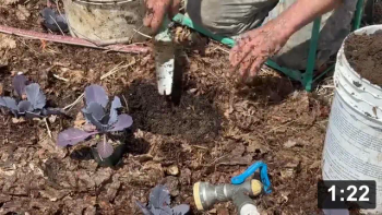 Ferment Farm No.5 visit: Purple to green, biannuals, green & not mulch.

Planting
[/the-ferment-farm/posts/categories/planting]
Guides
[/the-ferment-farm/posts/categories/guides]