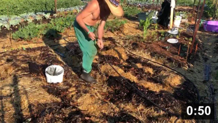 Line support

Irrigation
[/the-ferment-farm/posts/categories/irrigation]