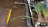 Thumbnail 119