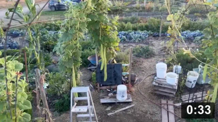 But so much still growing.

Irrigation
[/the-ferment-farm/posts/categories/irrigation]