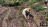 Thumbnail 22