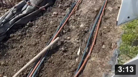 Vlog.12 Ferment Farm upkeep: NW perimeter Field Bindweed & vole trap.

Notes:

 * Bindweed (aka Morning Glory). Fabric removed, weeds identified.
 * Cover it up! Weed seeds can live for 5 years in soil. Dont give them light to
   activate them. And UV light prevents bare ground from the bacteria n bugs we
   want to break down & mix the organic matter and minerals.

Mulch Gardening
[/the-ferment-farm/posts/categories/mulch-gardening]