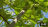 Thumbnail 66