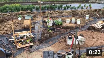 Planting plants in soil

Planting
[/the-ferment-farm/posts/categories/planting]