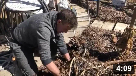Deep Mulch Gardening: Food Security- Beets & carrots, 11 months in the ground

Mulch Gardening
[/the-ferment-farm/posts/categories/mulch-gardening]