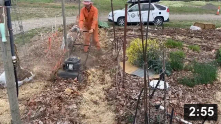 Ferment Farm No.3: Prepping the cabbage beds.

Problem/Solution: Leafs were too fluffy due to almost no snow or moisture all
winter to pack them down. So….mow!

Also so many super staple foods are biannual (they grow like crazy the first
year and store that energy in the root (the brain of the plant). The second year
they explode into making babies as soon as possible. Gettn sexy flowers to bring
in the pollinator.

Guides
[/the-ferment-farm/posts/categories/guides]
Mulch Gardening
[/the-ferment-farm/posts/categories/mulch-gardening]