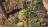 Thumbnail 190