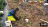 Thumbnail 194
