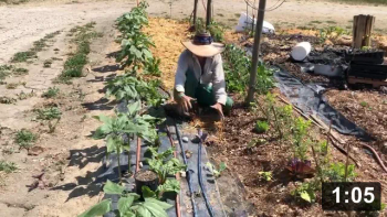 Something getting done. Making food.

Planting
[/the-ferment-farm/posts/categories/planting]