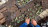 Thumbnail 126