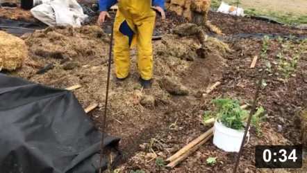 On Mulching…

Mulch Gardening
[/the-ferment-farm/posts/categories/mulch-gardening]