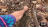 Thumbnail 38