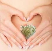 Your Gut