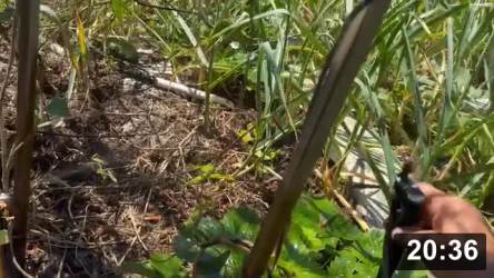 IRRIGATION Guide/Vlog: Growing food everywhere is what its about. Plans, clocks,
valves, spray heads. Water directing strategies, head repairs, and pot farming.

Notes:

 * Watering Brain (clock) is well worth the time and money up front.
 * KISS (Keep It Simple Stupid)
 * Note to self, use water pressure to unclog head. And if sucking head,
   swallow, dont inhale! (obviously, i dont know how).

Guides
[/the-ferment-farm/posts/categories/guides]
Irrigation
[/the-ferment-farm/posts/categories/irrigation]