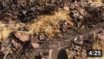 Valleys n mountains n beet planting n Hydro Seeding (mixing muck with carrot
seeds in pastry icing spreader)

Guides
[/the-ferment-farm/posts/categories/guides]
Planting
[/the-ferment-farm/posts/categories/planting]
Mulch Gardening
[/the-ferment-farm/posts/categories/mulch-gardening]