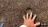 Thumbnail 22