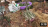 Thumbnail 108