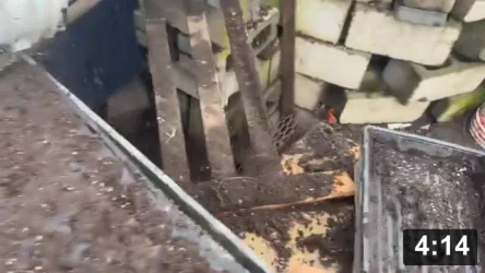 Vlog 5. A peasing in the garden (pea planting).

1.Deep mulch gardening. A winter blanket of food for soil bugs.

Notes:

 * 2 seeds per spot. Place on top of soil and put muck over tops.
 * There is magic all around us. Look for it. When you are balancing through
   life, stay on the beam. Exact measurements tell you when you are perfectly on
   the balancing beam.
 * Newspaper helps hold in moisture whilst genesis occurs in the greenhouse.
 * Just in the mail, Malabar spinach seeds. Crazy vines grow over 10 ft, with
   gorgeous red stalks, thick red/green leafs n fun tiny grape like flower
   pod/seeds. A wonderful seed company. Stuffed package with love.

Mulch Gardening
[/the-ferment-farm/posts/categories/mulch-gardening]
Planting
[/the-ferment-farm/posts/categories/planting]
Guides
[/the-ferment-farm/posts/categories/guides]