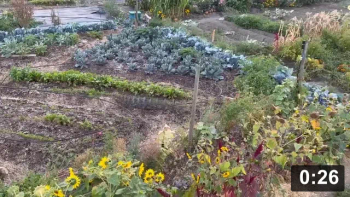 I am but one man, and do what i can.

Just for Fun
[/the-ferment-farm/posts/categories/just-for-fun]
Ferment Farm 5
[/the-ferment-farm/posts/categories/ferment-farm-5]
Mulch Gardening
[/the-ferment-farm/posts/categories/mulch-gardening]
Harvesting
[/the-ferment-farm/posts/categories/harvesting]
Preparing Vegetables
[/the-ferment-farm/posts/categories/preparing-vegetables]