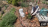 Thumbnail 93