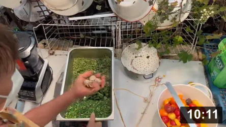 Making tomato sauce to store (wearing mask due to smoke).

Ingredients:

 * Tomatoes
 * Herbs (Basil, dill, rosemary, chives, parsely, oregano)
 * Celery
 * Bulbils (garlic seeds)

Guides
[/the-ferment-farm/posts/categories/guides]
Food Processing & Cooking
[/the-ferment-farm/posts/categories/food-processing-and-cooking]
Harvesting
[/the-ferment-farm/posts/categories/harvesting]