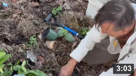 Vlog 23 (no catchup since 22) - “FANS ONLY” installing of the “Witch’s Garden.”
Somehow it turned into the growing demand for me to make more garden “porn.”
About as hard core dirt porn as i can get on our pig day.

Ribfest Day: Where we get to gather and celebrate our lowest place as a
carnivore.

Planting
[/the-ferment-farm/posts/categories/planting]