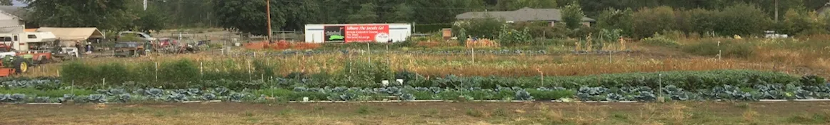 wideField