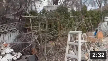 Vlog 4. Late apple tree pruning & grape grafting of a 100(?) yr old Concord
grape tree.

For the grape grafting: Fingers crossed. Not sure how well the splicing tape
will work.

Cool Projects
[/the-ferment-farm/posts/categories/cool-projects]
Guides
[/the-ferment-farm/posts/categories/guides]
Planting
[/the-ferment-farm/posts/categories/planting]