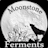 moonstone-ferments.pages.dev favicon